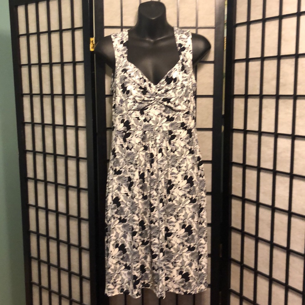 NWT: size 4 Ann Taylor Loft Spring dress